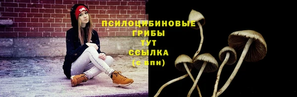 стаф Ижевск