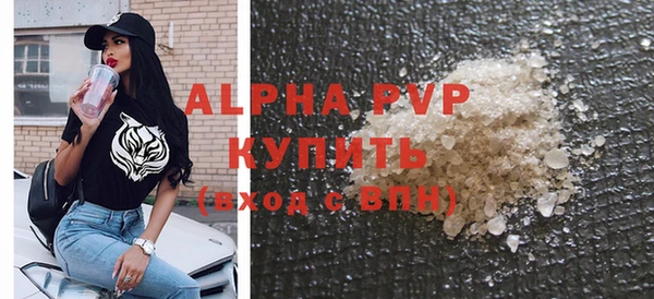 стаф Ижевск