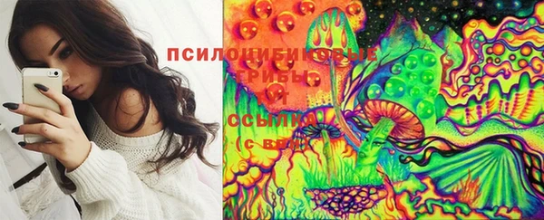стаф Ижевск