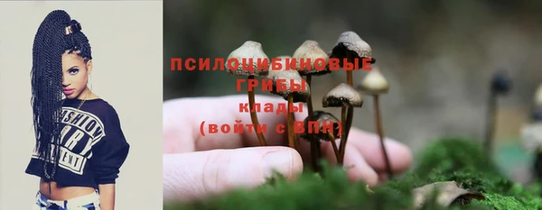 стаф Тольятти