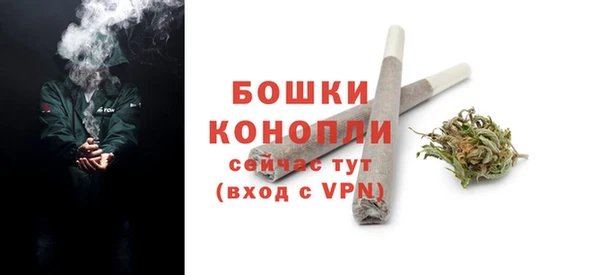стаф Тольятти