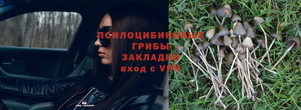 стаф Ижевск