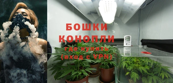 стаф Тольятти