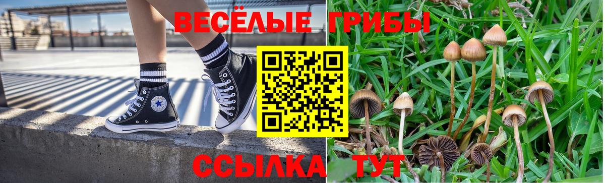 Галлюциногенные грибы мухоморы  Вход с VPN  Брянск  Псилоцибиновые грибы MAGIC MUSHROOMS 