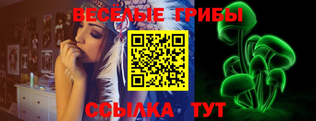 Псилоцибиновые грибы GOLDEN TEACHER Брянск