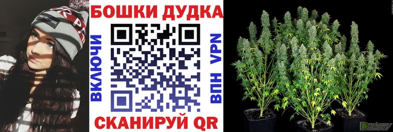 Шишки марихуана индика где продают Брянск